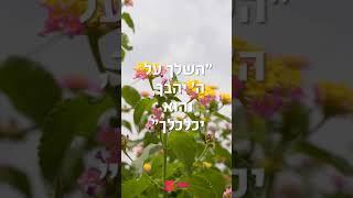 ביטחון = ברכה