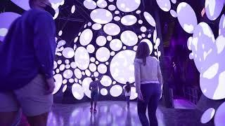 Houston’s Seismique Immersive Museum - The Art Experience of Tomorrow!