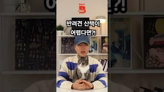 산책이 어려운 반려견 훈련방법? #강아지 #반려견 #강아지훈련 #반려견 #반려동물  #pets