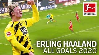 Erling Haaland - All Goals 2020