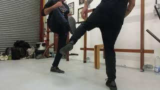 Loukas Kastrounis  Wing Chun Wooden dummy  kick , Simple-Direct-Efficient