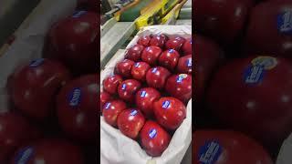 سیب صادراتی ایران  #هند#پاکستان#دبی#سیب#عراق#روسیهIran's export apples  #India#Pakistan#Dubai#