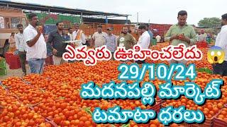 29/10/24 Madanapalle Tomato Market Price Today || Today Tomato Market Rate In Madanapalle #today