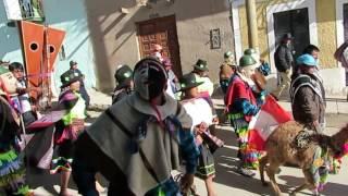 llameritos de parinacochas en la entrada de chamiza en  coracora 2013