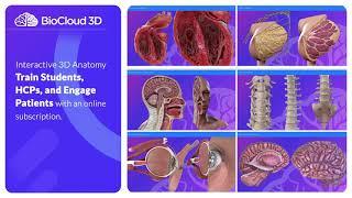 BioCloud 3D Anatomy