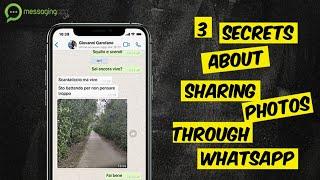 3 Things You (Likely) Don’t Know About Sharing Photos and Videos Through WhatsApp