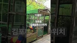 #김포예쁜카페#김포대형카페#550갤런#소품카페#아이와가볼만한곳#금속공예#멋지다이곳#카페투어