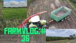 Farmvlog:#36 Oldtimer am start