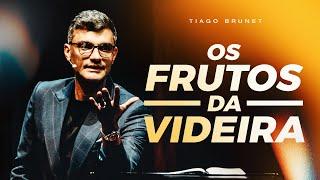 DESTINADOS a dar FRUTOS | TIAGO BRUNET