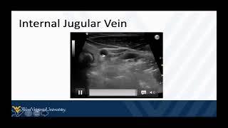 Fundamentals of POCUS Guided Procedures 2 - Needle Guidance