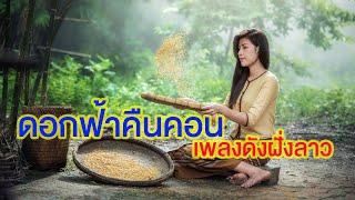 ดอกฟ้าคืนคอน | ลอนนี่ นิรันดร | เพลงดังประเทศลาว