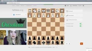 Chess Match - Daniel Wiebe VS Yelizaveta Orlova (0-1)