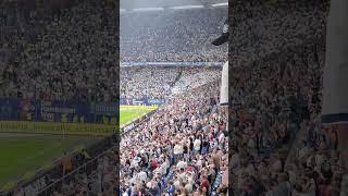 Sensationeller 3:0 Sieg beim Spiel HSV gegen Hertha BSC #shorts #hsv #volksparkstadion