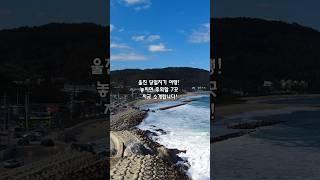 울진 당일치기 여행코스 BEST7! 힐링 명소 총정리 #울진여행 #국내여행지추천 #울진가볼만한곳