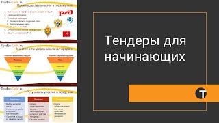 Участие в тендерах для начинающих: базовые понятия о госзакупках, защита в ФАС, оценка результатов