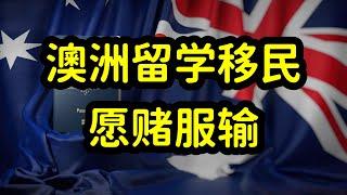 澳洲留学生毕业回国发展，还是留在澳洲就业移民？各有利弊难抉择