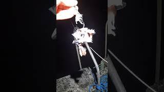 Hunting for Haevul at night  FISHnTHINGS