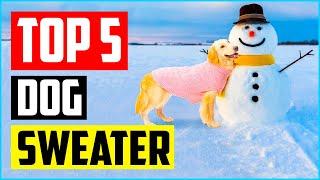 Top 5 Best Knitted Dog Sweater In 2022