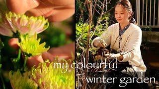 Slow Living with a Cozy Winter Garden, a Relaxing Vlog of My Layback Countryside Life