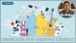 Cómo funciona el proceso de comunicación entre hemisferios cerebrales