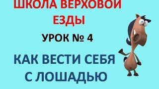 Как вести себя с лошадью