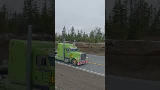 Peterbilt Hauling an Excavator on a Step-deck Trailer  #shorts #truckspotting