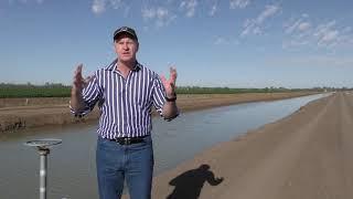 The Madden–Julian oscillation (MJO) – a key player during the cotton growing season