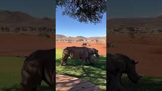 Sossusvlei - Namib Desert