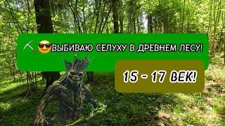 ДРЕВНИЕ АРТЕФАКТЫ В СТАРИННОМ ЛЕСУ!