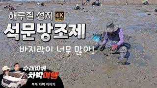 석문방조제/캠핑/차박/바지락/꽃게/소/해루질/