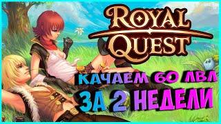 Royal quest: Качаем 60 лвл за 2 недели