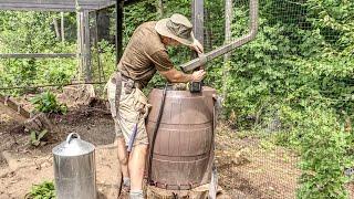 Installing a Rain Water Barrel with Nipples for my Chickens