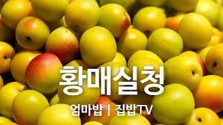 매실청 담그는법 | 매실 이렇게 씻어요! 이것만 보면 황매실청 담그는 법 마스터 가능, 꿀팁가득 상큼함 가득 영상 보세요