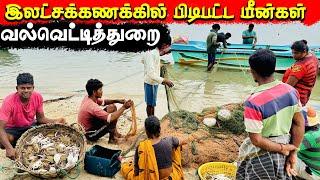  அதிக மீன்கள் ஏலத்தில் போகும் வல்வெட்டித்துறையின் சந்தை! sea fishing man  vvt Jaffna  | Tamil  Vlog