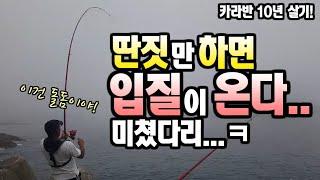 돌돔원투 딴짓하면 입질이 꼭 오네요 ㅠ [캠낚세끼] / 추자도 낚시n캠핑 / caravan / camping car / Camping / 캠핑카
