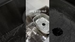 우리집 설거지존 치트키! 국내제작 스토피아 식기건조대 3차 공구 오픈! ~6/18일까지 최저가 진행중이예요! 괴물 수납력에 틈새까지 공략하는 한번사면 평생쓰는 식기건조대입니다