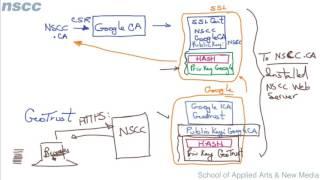 Digital Certificates: Chain of Trust