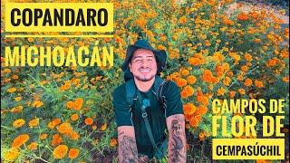 COPANDARO MICHOACAN Y SUS CAMPOS DE FLOR DE CEMPASUCHIL , TODO LO QUE DEBES SABER PARA TU VISITA!!!