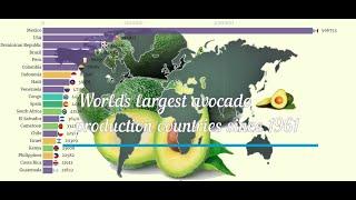 World's top avocado producing countries...