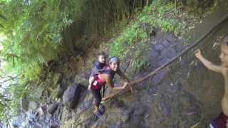 Bamboo Forest Hike Maui