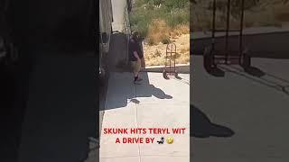 Teryl's Legendary Skunk Encounter
