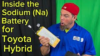 First Look Inside the NexPower Sodium Ion Battery for Toyota Hybrid Cars