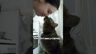 love  #youtube #влог #ukraine #чемнийкіт #cat #кіт