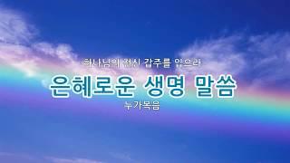 성경듣기 개역한글 누가복음 전체 24장 성경통독