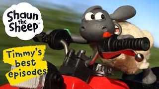 The Big Chase ️ Timmy's Best Episodes from Shaun the Sheep