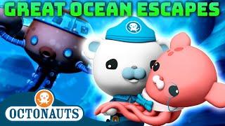 @Octonauts -   Great Ocean Escapes  | 80 Mins+ Compilation | Underwater Sea Education for Kids