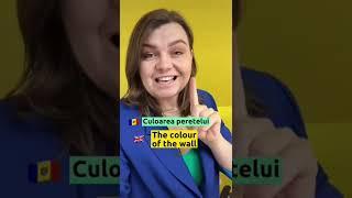 Tu știi răspunsul la ultima întrebare?