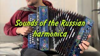 A beautiful harmonica melody. "LOVELY FAR" - Sounds of the Russian harmonica