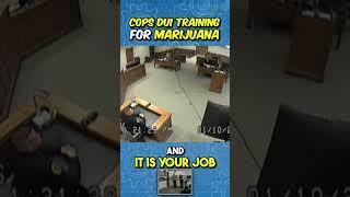 Police DUI TRAINING for WEED!