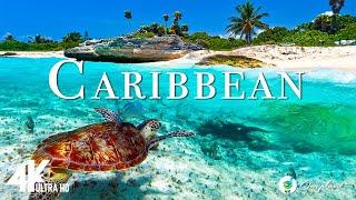 Caribbean 4K - расслабляющая музыка вместе с красивыми видеороликами - 4K Video Ultra HD